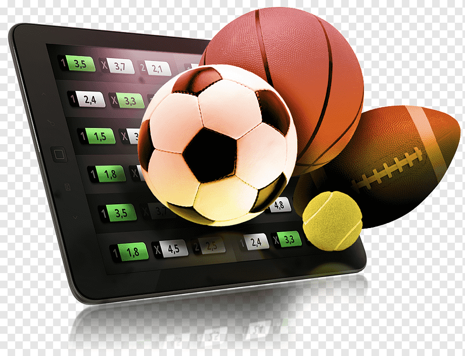Play Top Casino Slots Without Any Verification 41